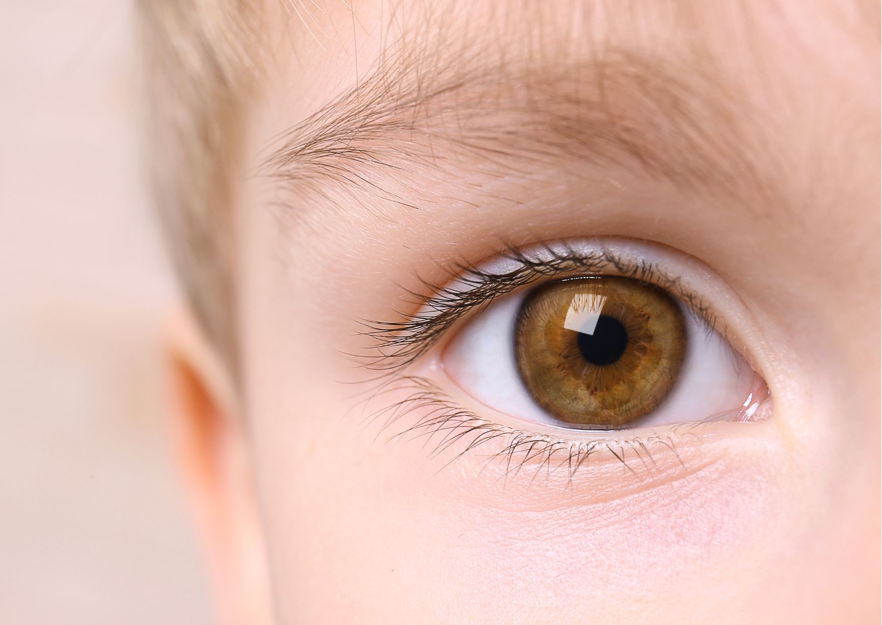 Cartilha sobre saúde ocular na infância orienta pais e professores