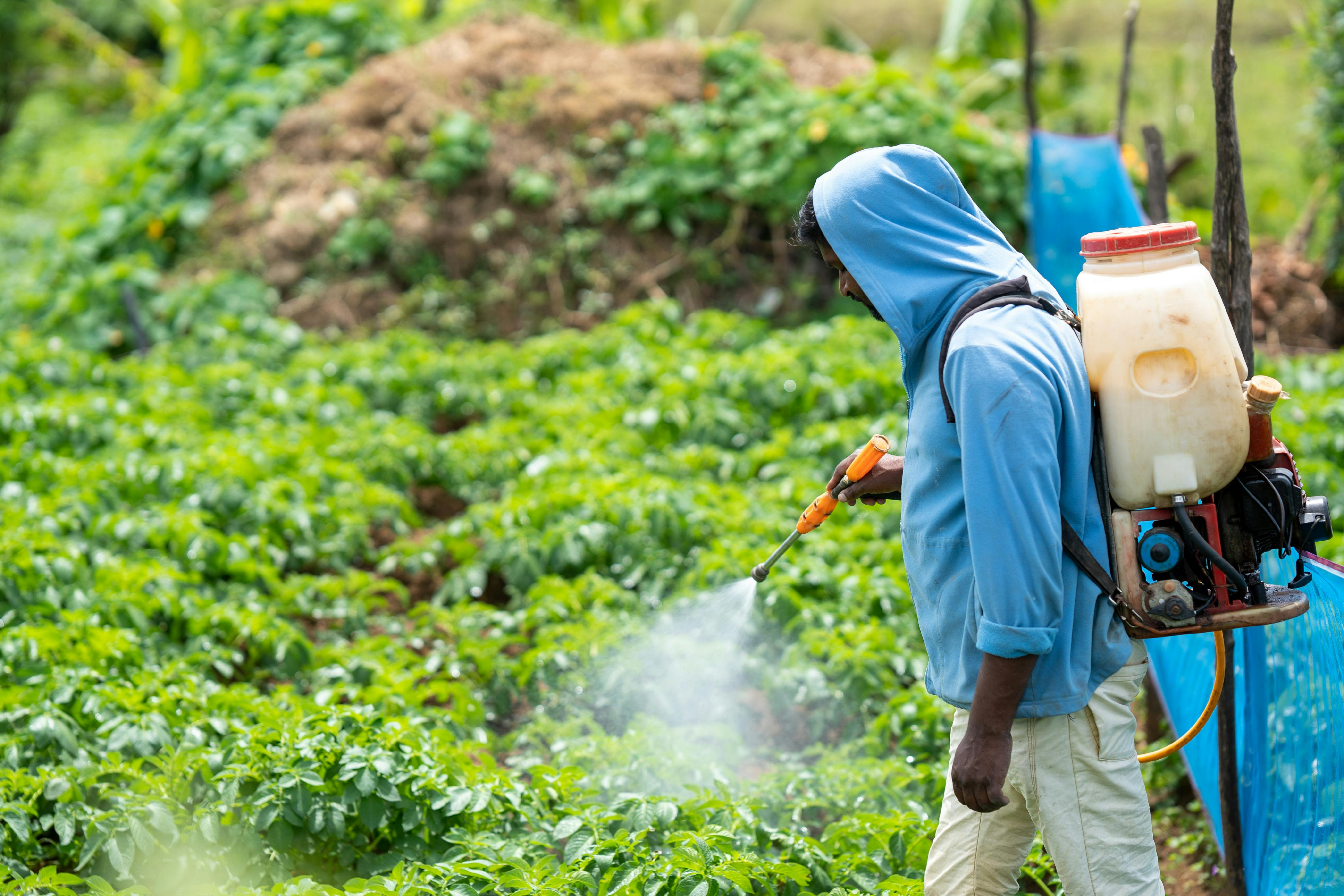 Brasil bate recorde na liberação de agrotóxicos e defensivos biológicos em 2025