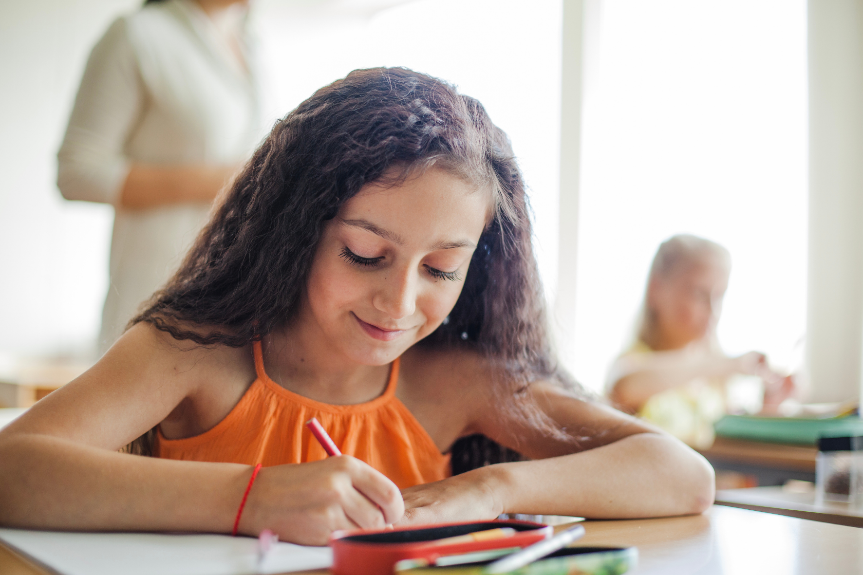 Educação política passa a integrar currículo escolar brasileiro